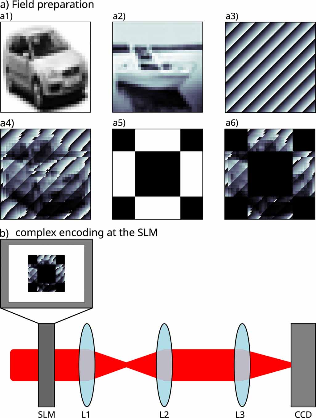 Errors in single pixel laser imaging emerging from spatial size limits ...