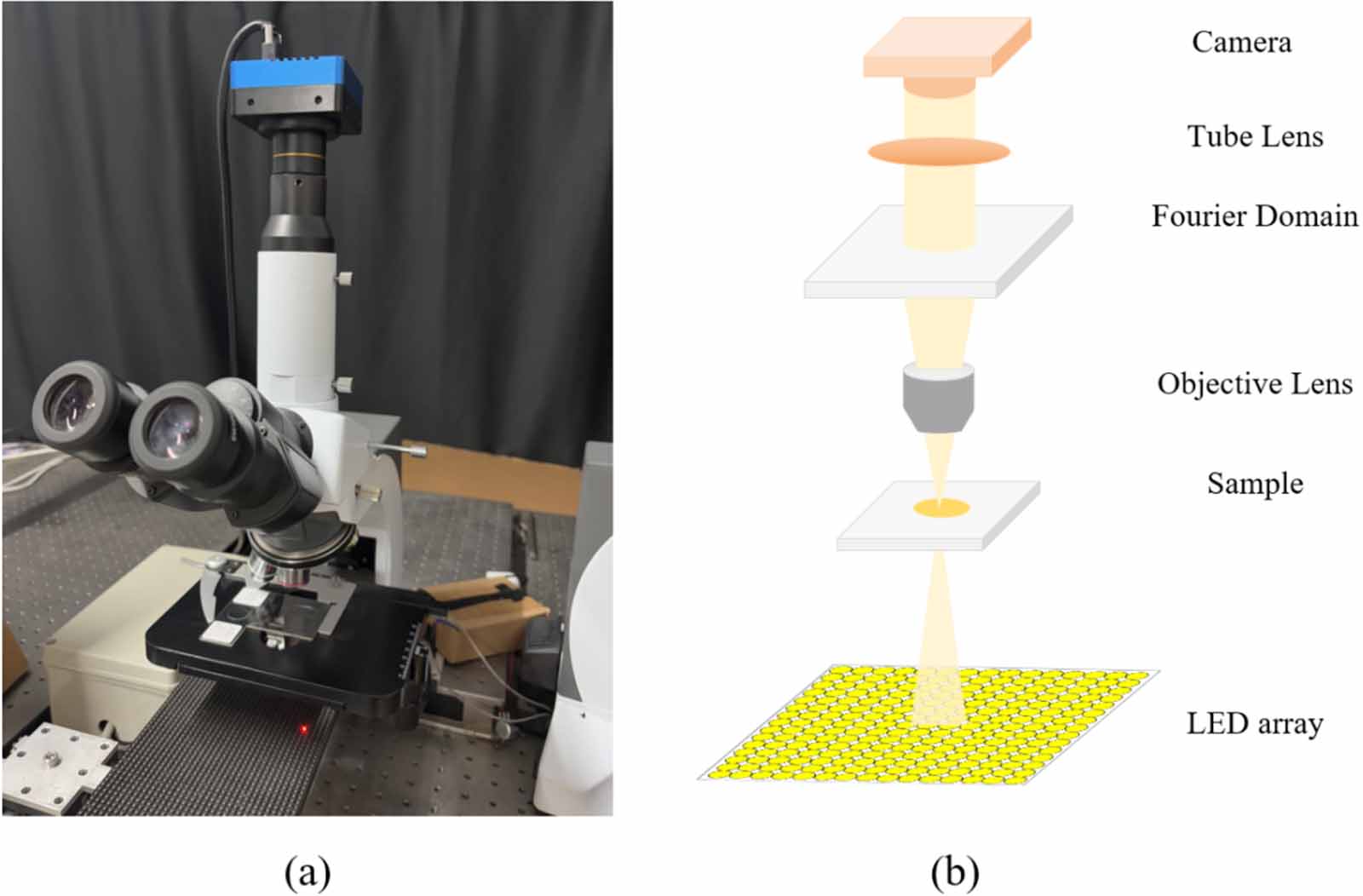 Transitional Polyhedral Microscope Illumination pattern optimization in Fourier ptychographic microscopy ...