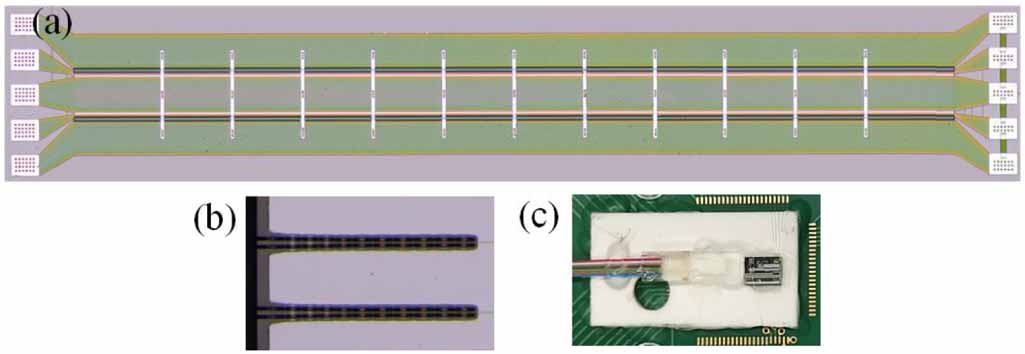 Sub-volt dual-drive silicon Mach–Zehnder modulator with an energy ...