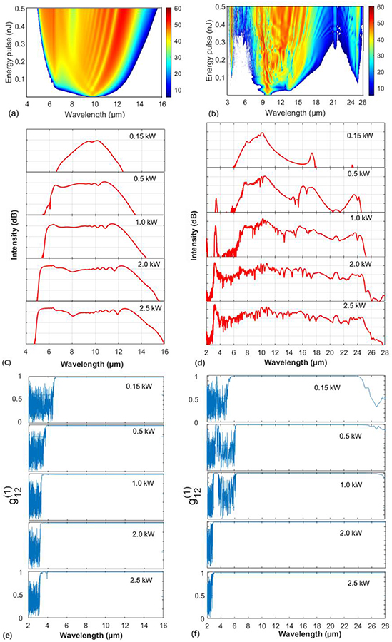Polarization-maintaining highly nonlinear photonic crystal fiber based ...