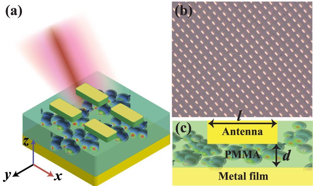 Polarization-dependent vibrational strong coupling in a metamaterial -  IOPscience