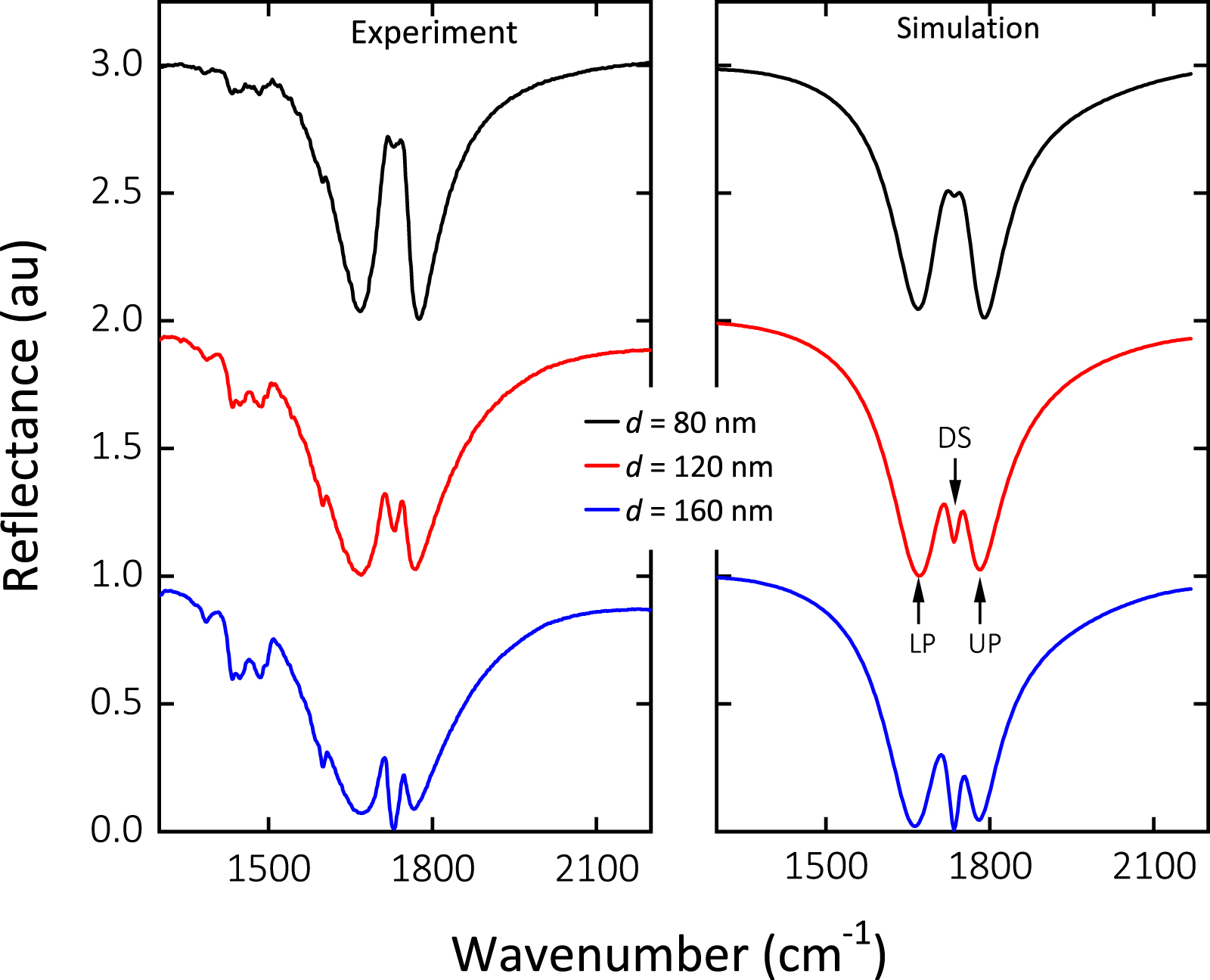 Polarization-dependent vibrational strong coupling in a metamaterial -  IOPscience
