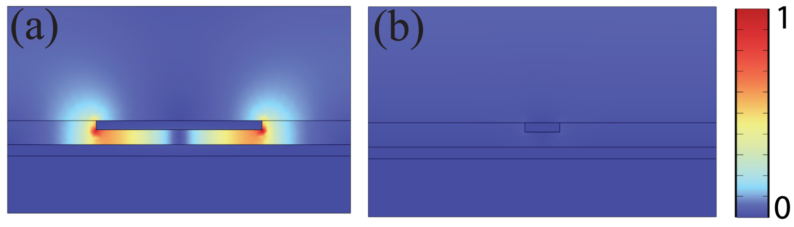 Polarization-dependent vibrational strong coupling in a metamaterial