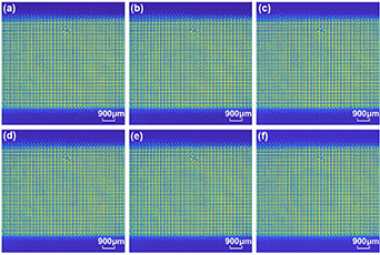Grayscale-phase calibration of liquid crystal spatial light modulator ...