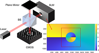 Grayscale-phase calibration of liquid crystal spatial light modulator ...