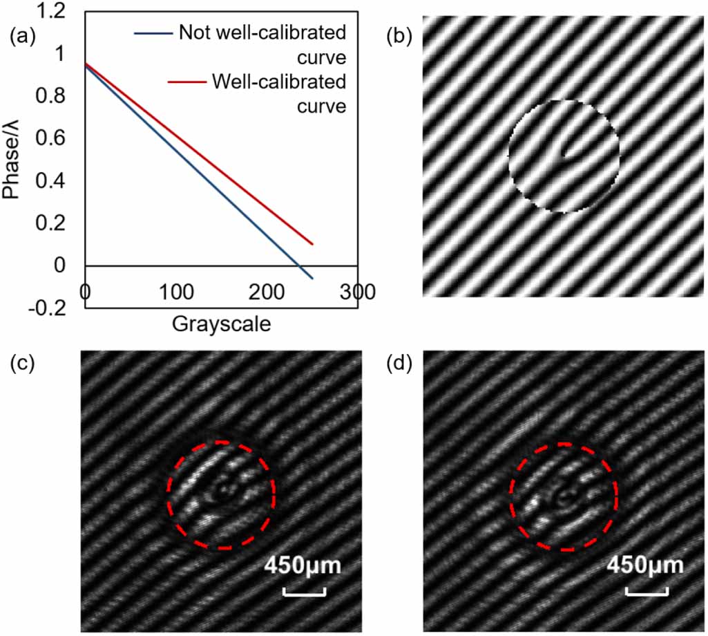 Grayscale-phase calibration of liquid crystal spatial light modulator ...
