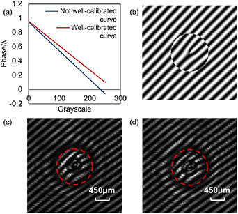 Grayscale-phase calibration of liquid crystal spatial light modulator ...