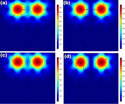 D shaped Dual core Photonic Crystal Fiber based Sensor For The