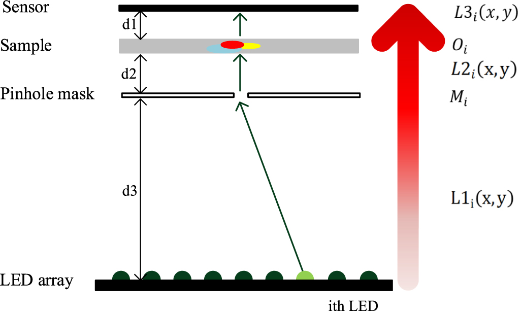 Led Line Errors LED array position error correction in lensless optical microscopy ...