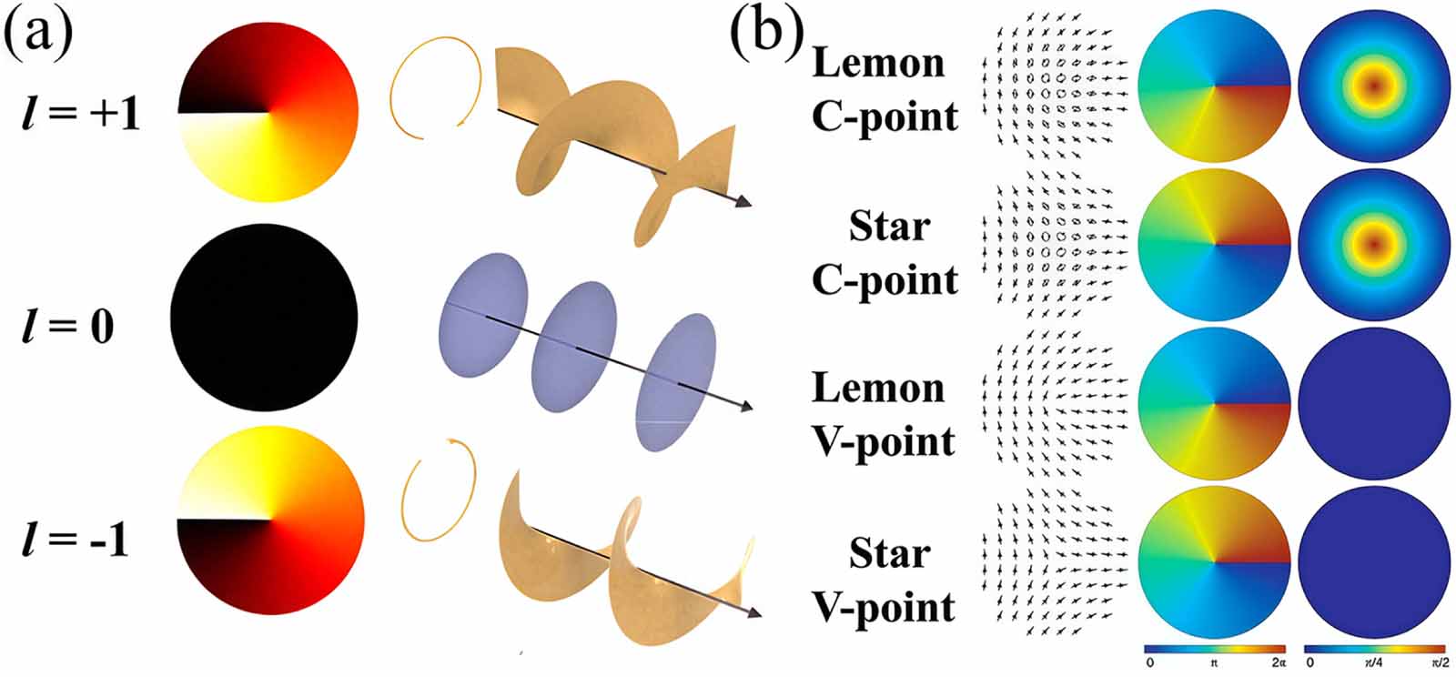 Topological light field: from singular to skyrmionic optics and