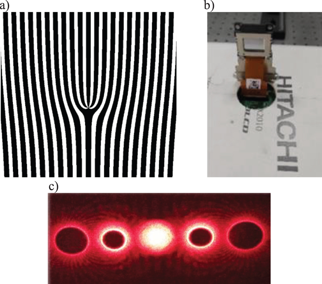 Influence of topological charge combinations on double Laguerre ...