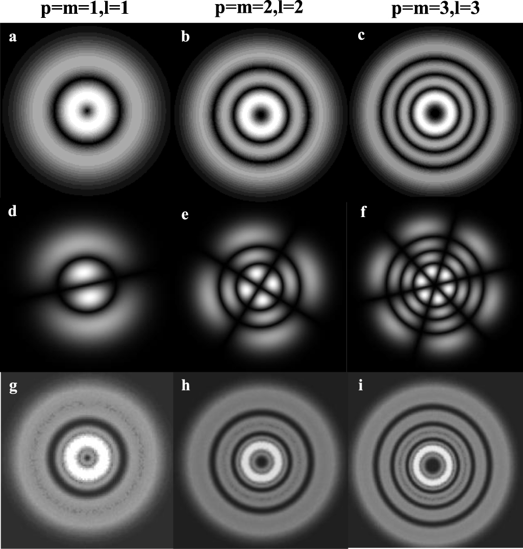 Field distribution and polarization characteristics of partially