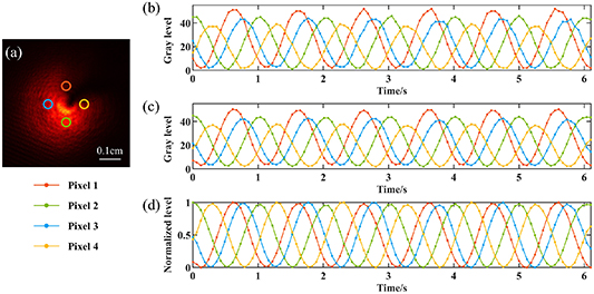 Phase response calibration method for liquid crystal spatial light ...