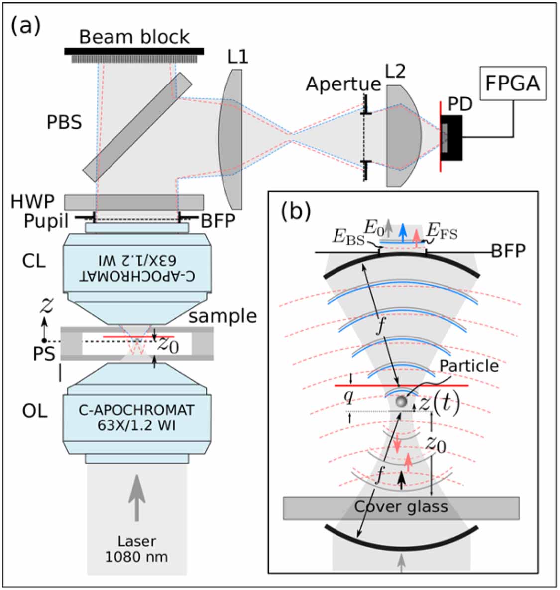 Understanding and improving axial detection in optical tweezers based ...