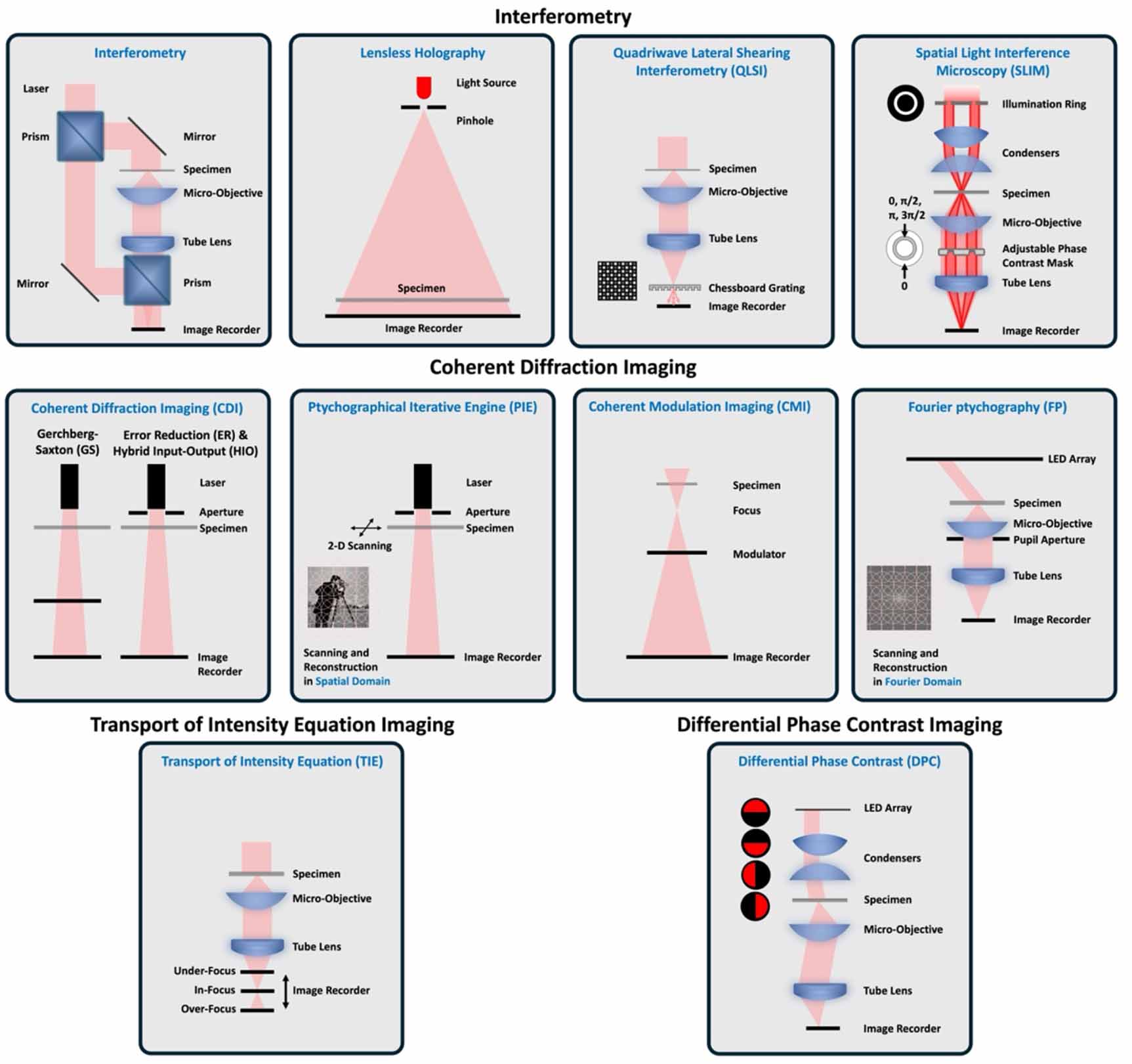 Single-shot quantitative phase imaging: techniques, applications, and ...