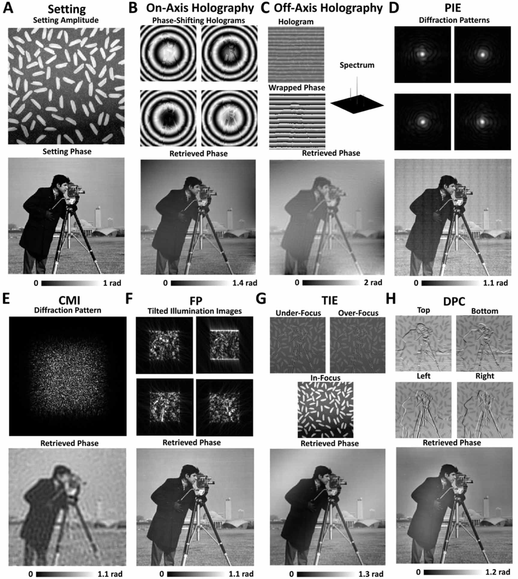 Single-shot quantitative phase imaging: techniques, applications, and ...