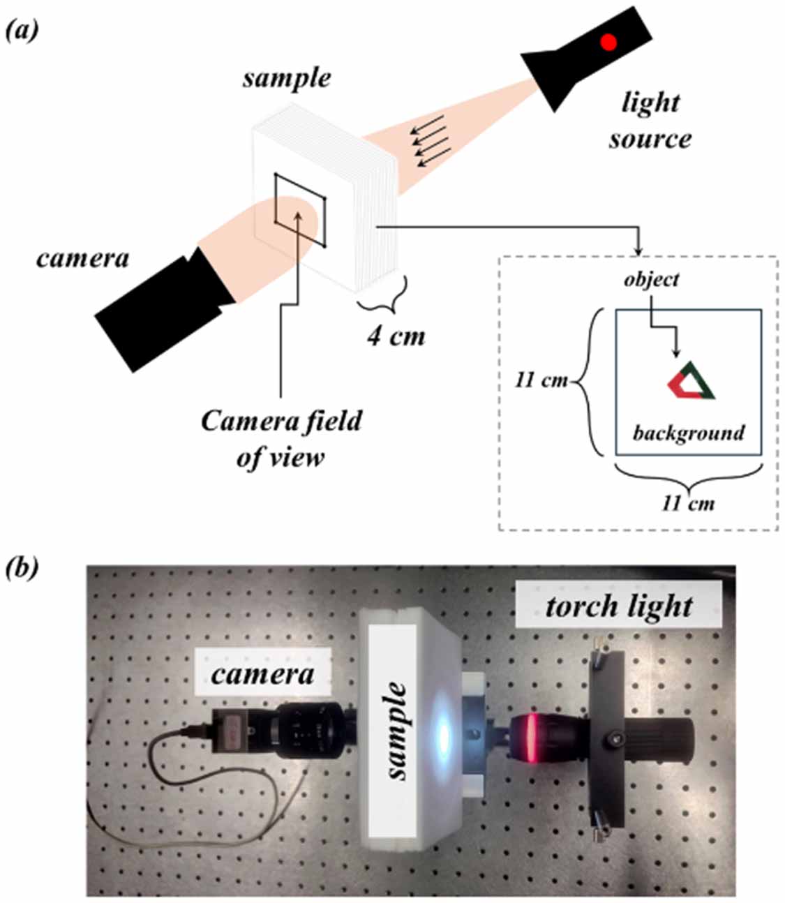 Color imaging through thick scattering media with hybrid deep learning ...