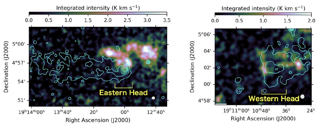 Figure 2. Refer to the following caption and surrounding text.