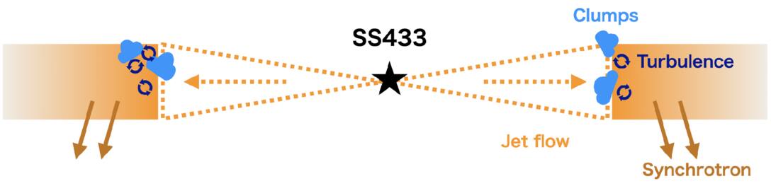 Figure 5. Refer to the following caption and surrounding text.