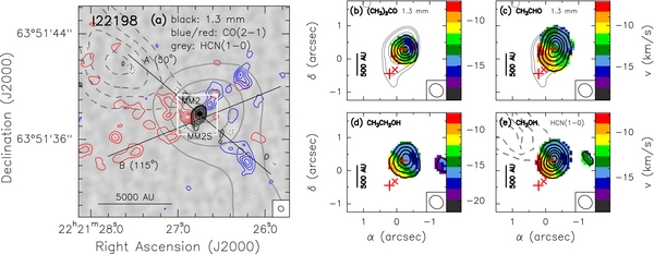 Figure 1. Refer to the following caption and surrounding text.