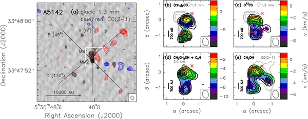 Figure 2. Refer to the following caption and surrounding text.