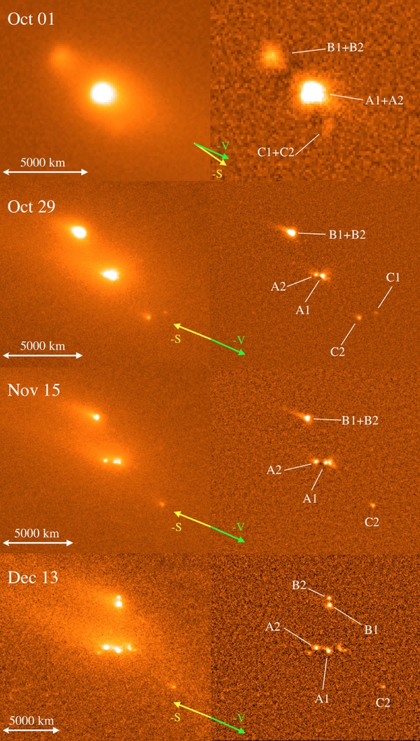 Figure 1. Refer to the following caption and surrounding text.