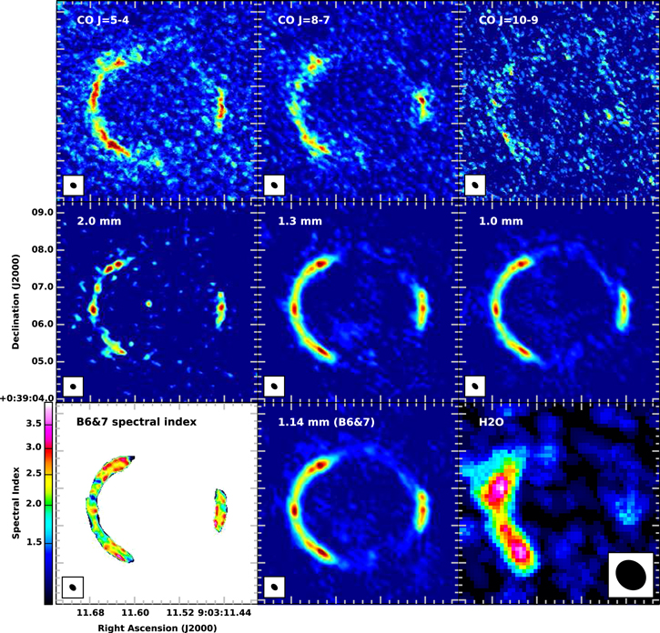 Figure 2. Refer to the following caption and surrounding text.