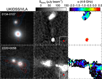 Figure 2. Refer to the following caption and surrounding text.
