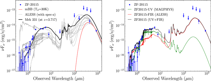 Figure 2. Refer to the following caption and surrounding text.