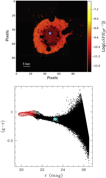 Figure 4. Refer to the following caption and surrounding text.