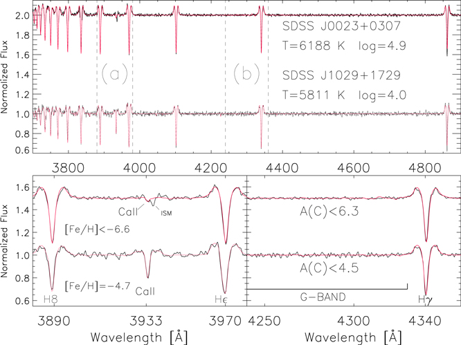 Figure 2. Refer to the following caption and surrounding text.