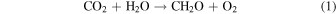 Equation (1)