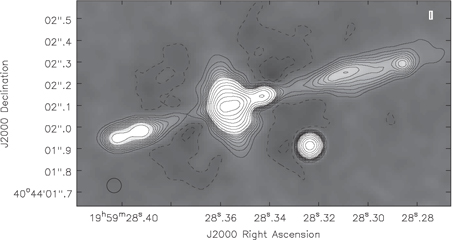 Figure 2. Refer to the following caption and surrounding text.