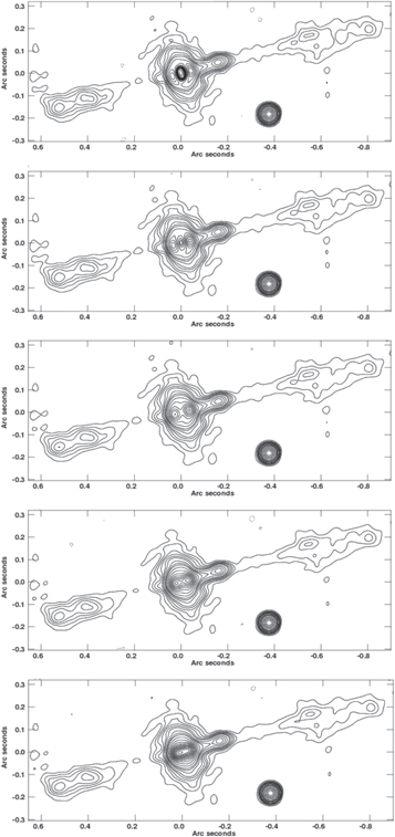 Figure 6. Refer to the following caption and surrounding text.
