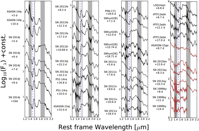 Figure 2. Refer to the following caption and surrounding text.