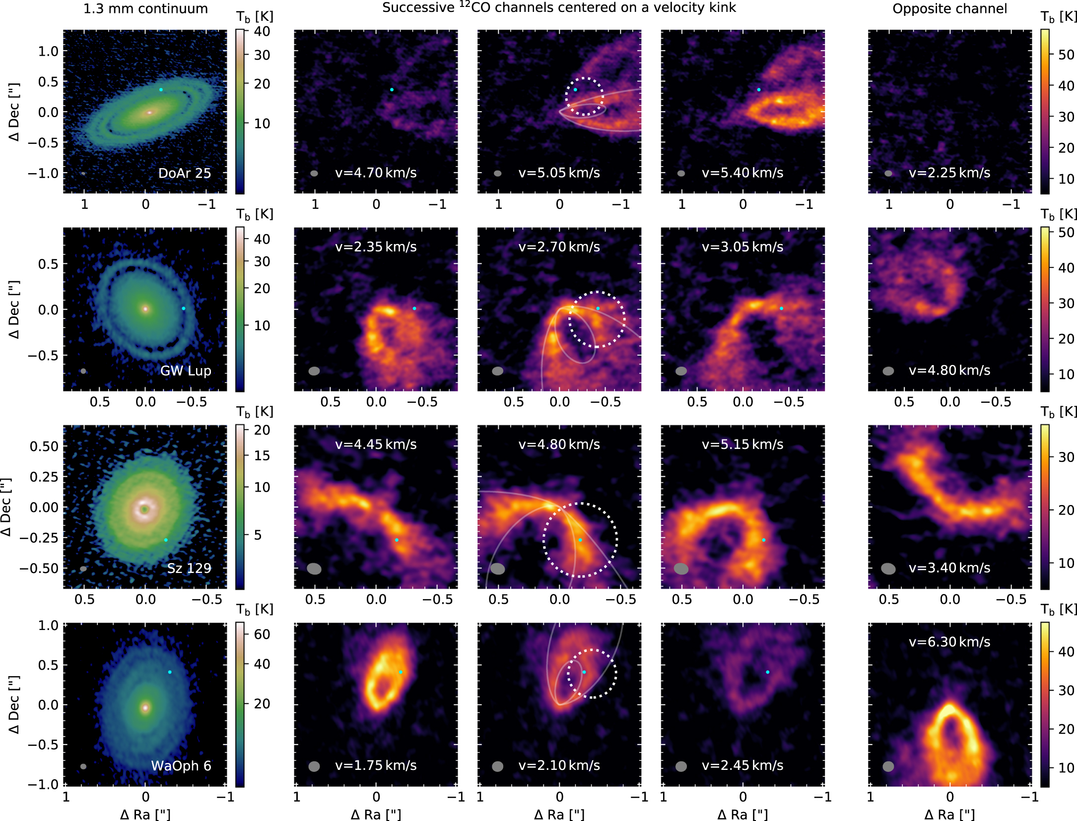 Nine Localized Deviations from Keplerian Rotation in the DSHARP ...