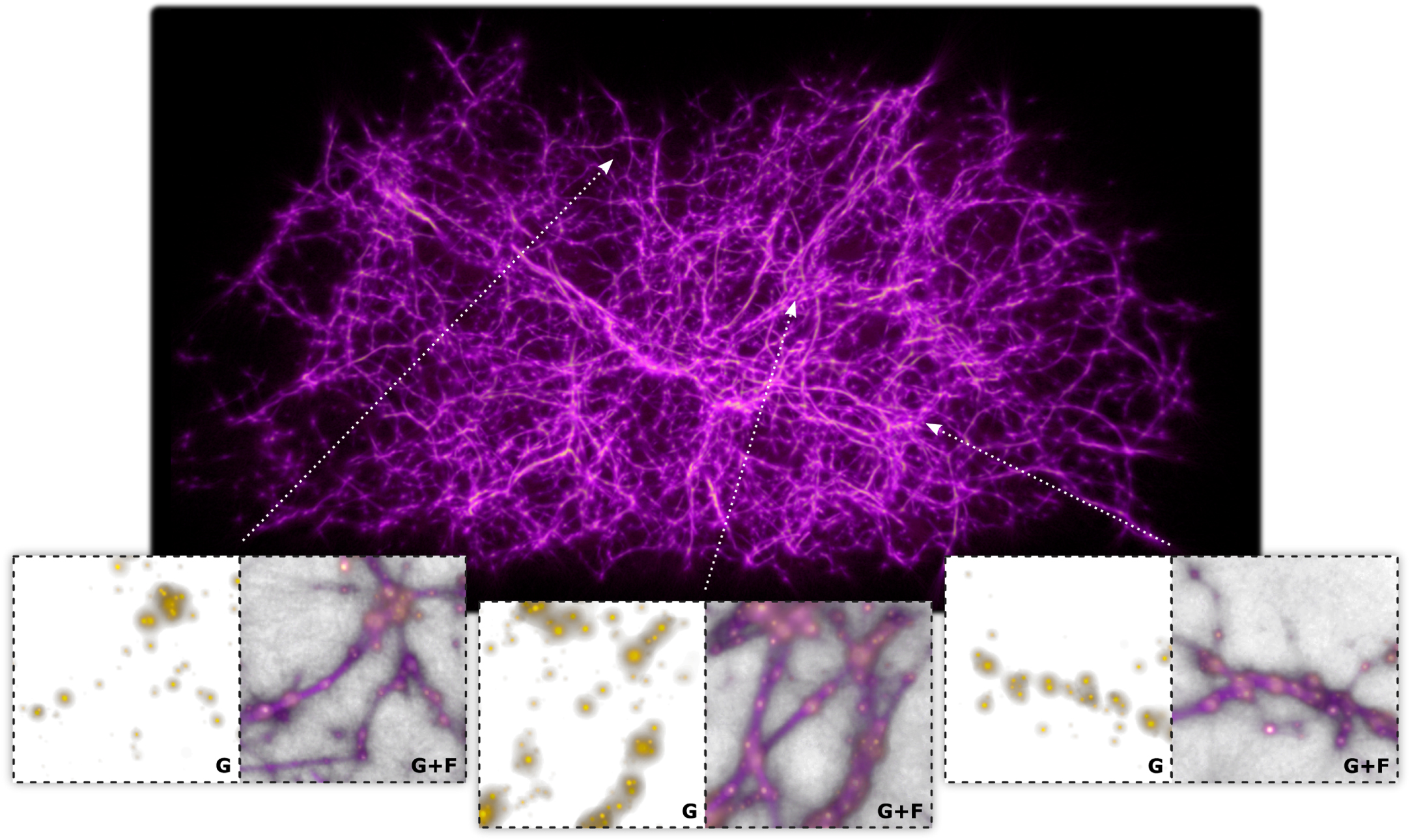 Revealing the Dark Threads of the Cosmic Web - IOPscience