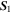 ${{\boldsymbol{S}}}_{1}$