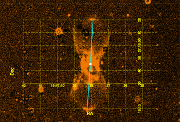 Figure 1. Refer to the following caption and surrounding text.