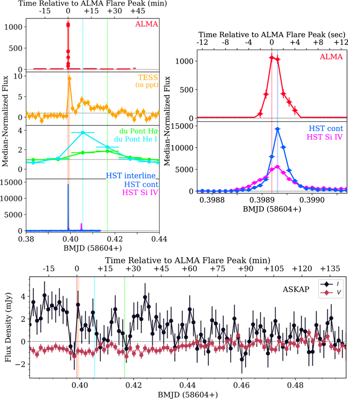 Figure 1. Refer to the following caption and surrounding text.