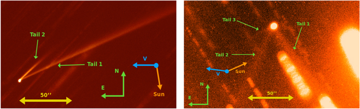 Figure 1. Refer to the following caption and surrounding text.