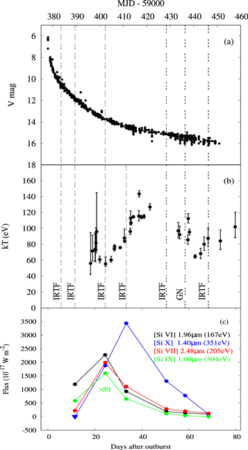 Figure 1. Refer to the following caption and surrounding text.