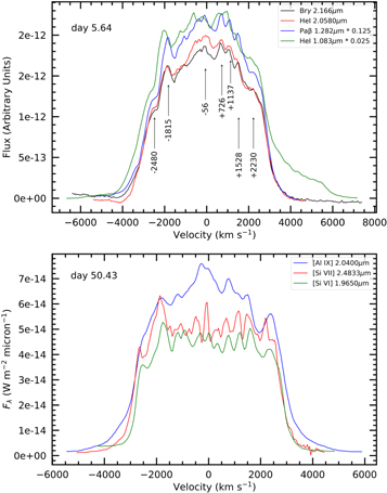 Figure 3. Refer to the following caption and surrounding text.