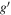 $g^{\prime} $