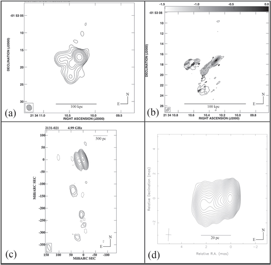 Figure 5. Refer to the following caption and surrounding text.