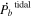 ${\dot{{P}_{b}}}^{\mathrm{tidal}}$