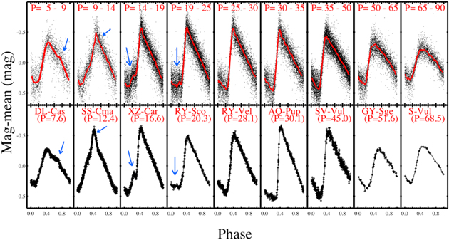 Figure 6. Refer to the following caption and surrounding text.
