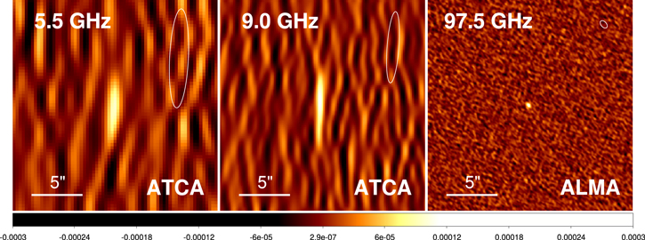 Figure 3. Refer to the following caption and surrounding text.