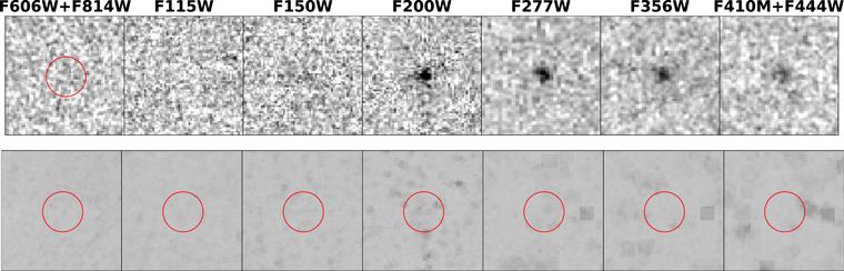 Figure 1. Refer to the following caption and surrounding text.