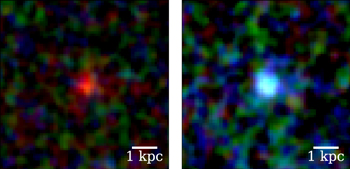 Figure 2. Refer to the following caption and surrounding text.